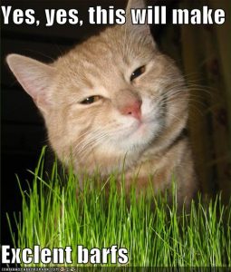 funny-pictures-yes-the-grass-will-make-excellent-barfs