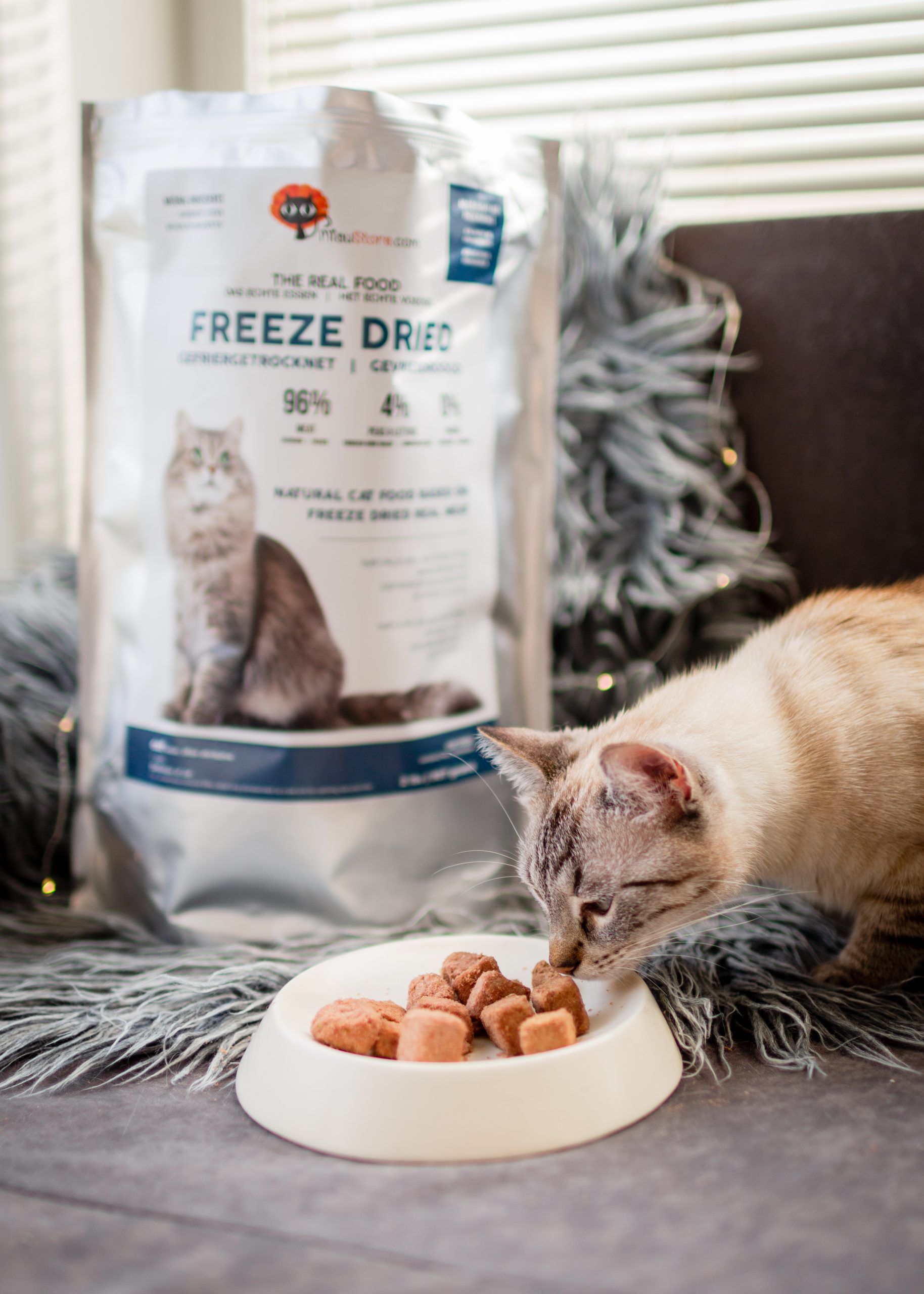 Productos Miaustore Espa a