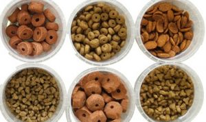 dry cat food shapes