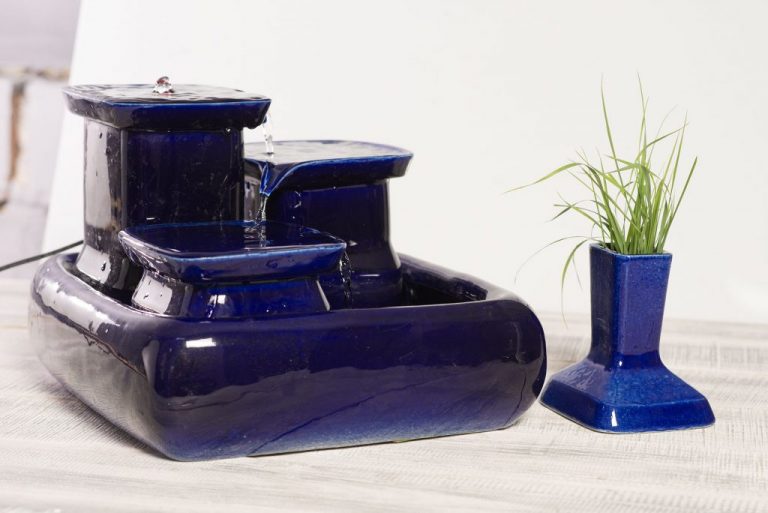 My Cat Eats Grass But Doesn't Throw Up