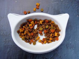 too much dry food leads to low water intake in cats