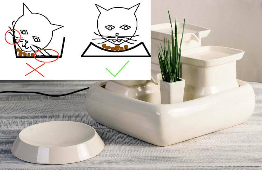 La fontaine à eau pour chats artisanale miaustore - détecteur de mouvement