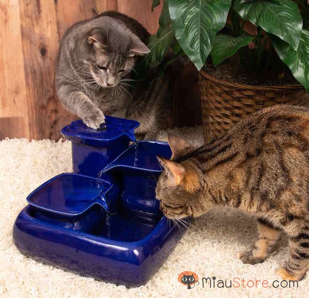 The Miaustore Ceramic Cat Fountain