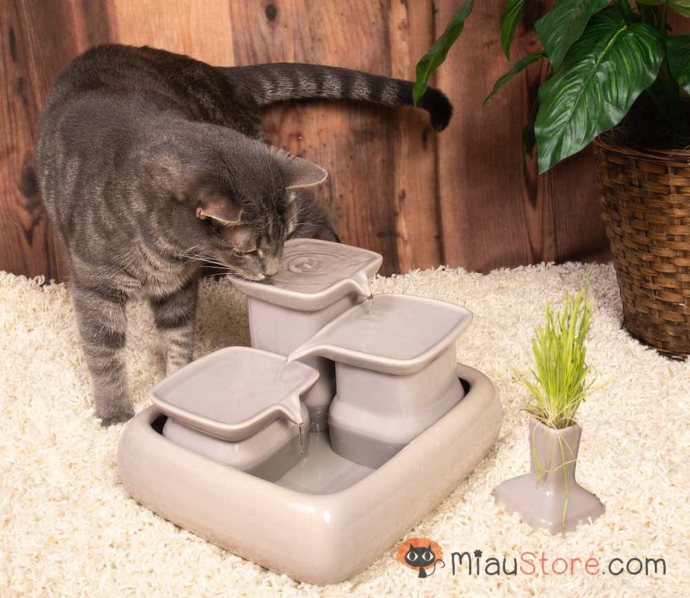 Cat water fountains - Ceramic drinking 