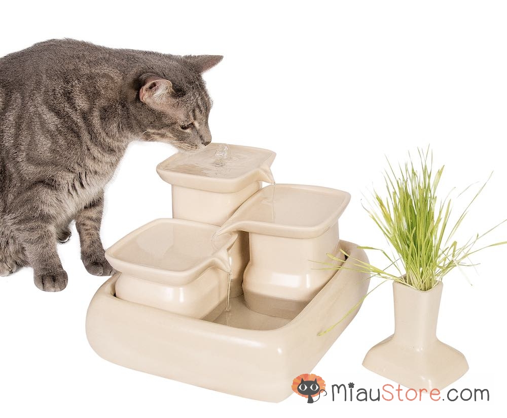 Migliori fontanelle per gatti: acqua fresca per il tuo felino
