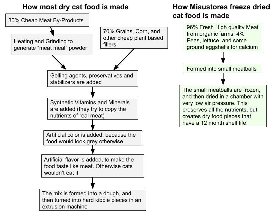 One Time Offer Biology Diagrams