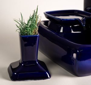 US Cat Grass Cup Blue