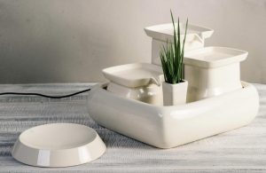 Beige Bowl US