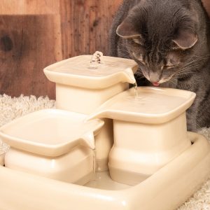 bester Trinkbrunnen für Katzen