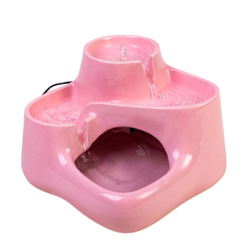 DCC_2424-removebg-preview