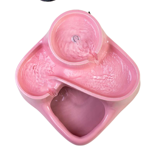 DCC_2429-removebg-preview